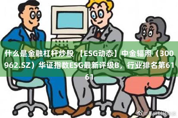 什么是金融杠杆炒股 【ESG动态】中金辐照（300962.SZ）华证指数ESG最新评级B，行业排名第61