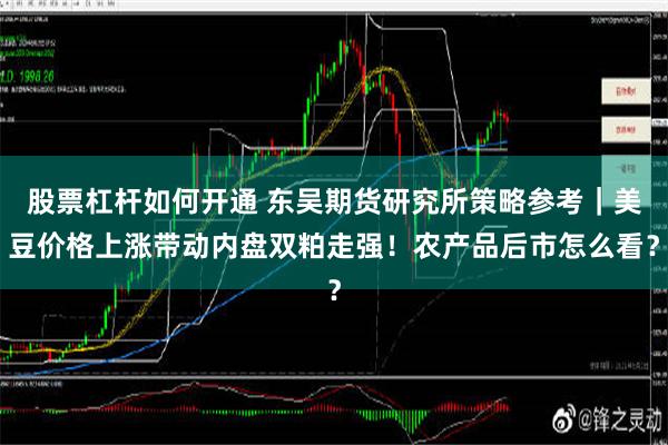 股票杠杆如何开通 东吴期货研究所策略参考｜美豆价格上涨带动内盘双粕走强！农产品后市怎么看？