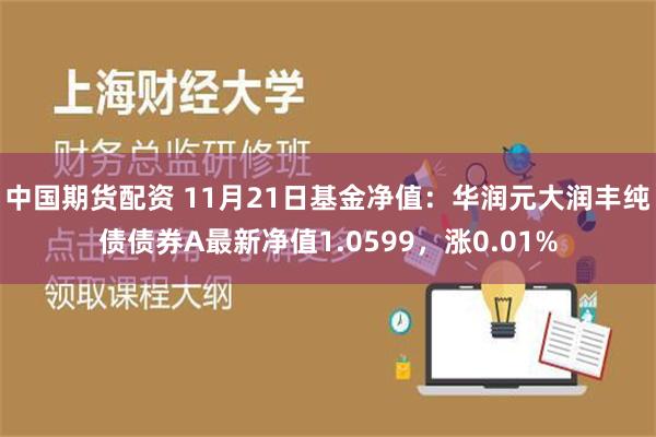 中国期货配资 11月21日基金净值：华润元大润丰纯债债券A最新净值1.0599，涨0.01%