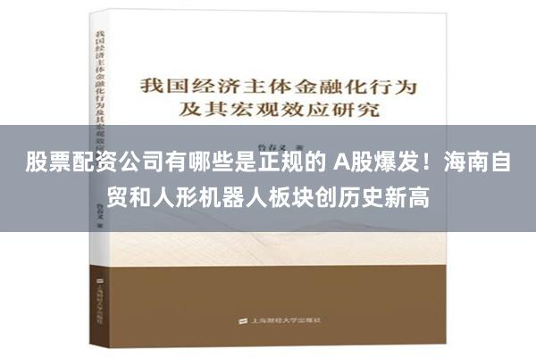 股票配资公司有哪些是正规的 A股爆发！海南自贸和人形机器人板块创历史新高