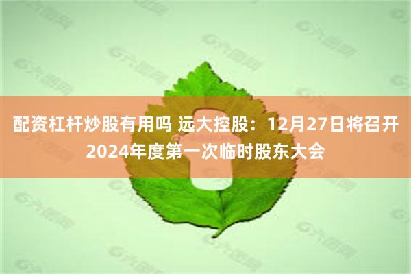 配资杠杆炒股有用吗 远大控股：12月27日将召开2024年度第一次临时股东大会