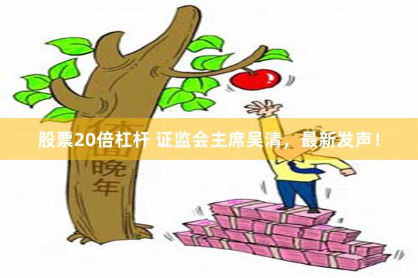 股票20倍杠杆 证监会主席吴清，最新发声！